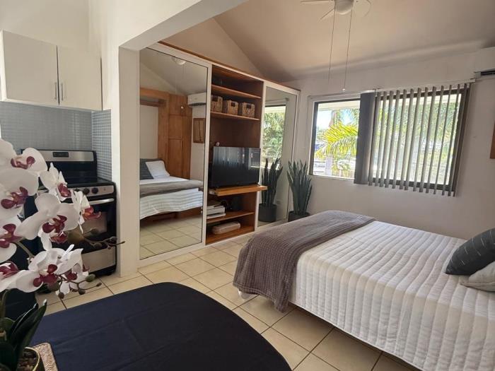 Green Forest #30 Spacious studio In las Palmas in Playas del Coco