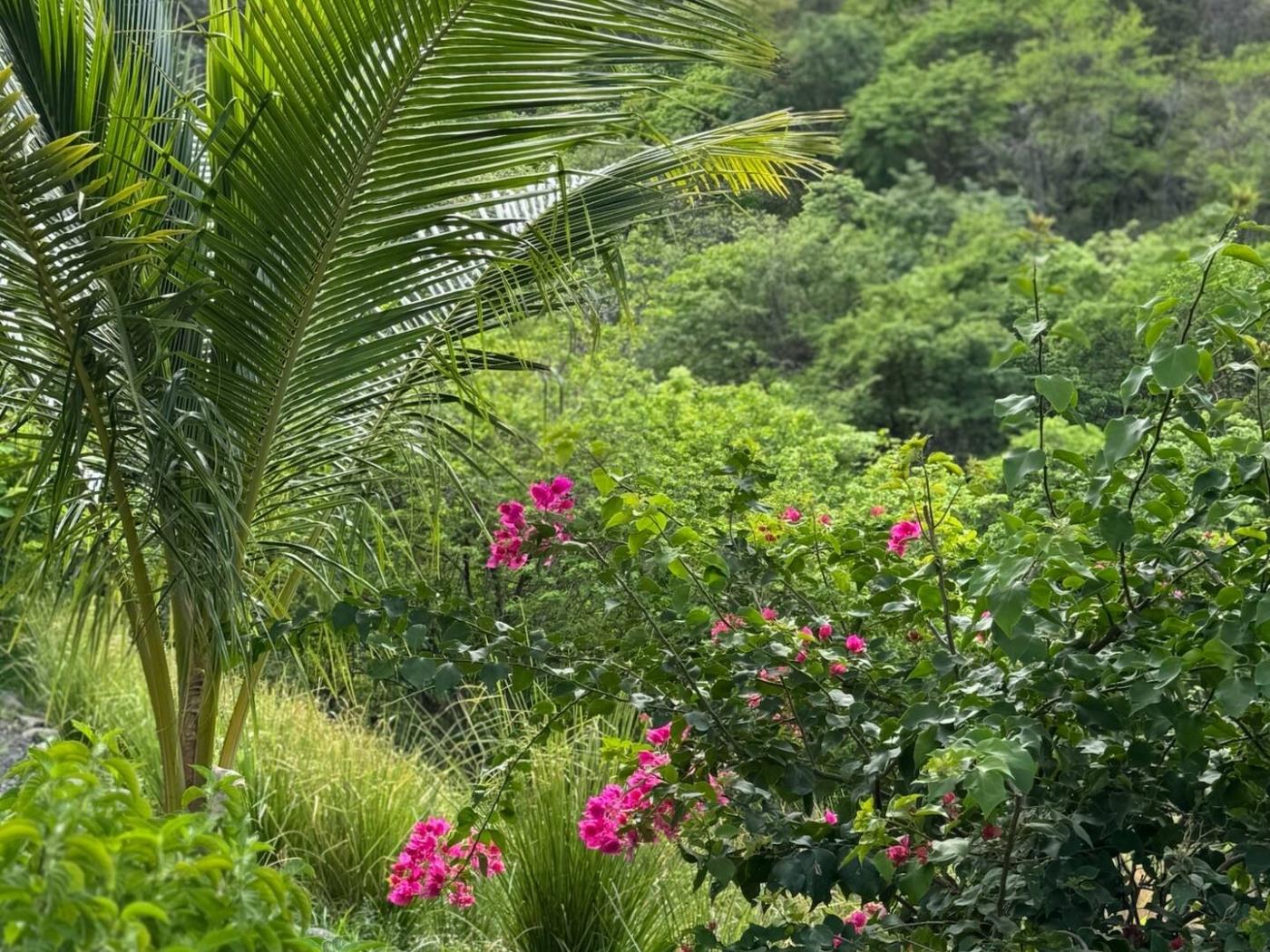 The SEA SALT & SAND House 4 Bed 4 Bath Home in Pacifico in Playas del Coco